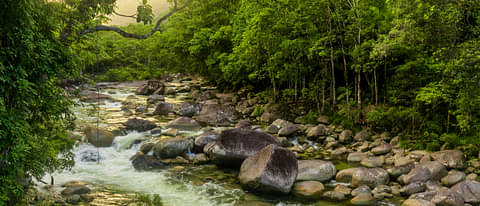 Cairns