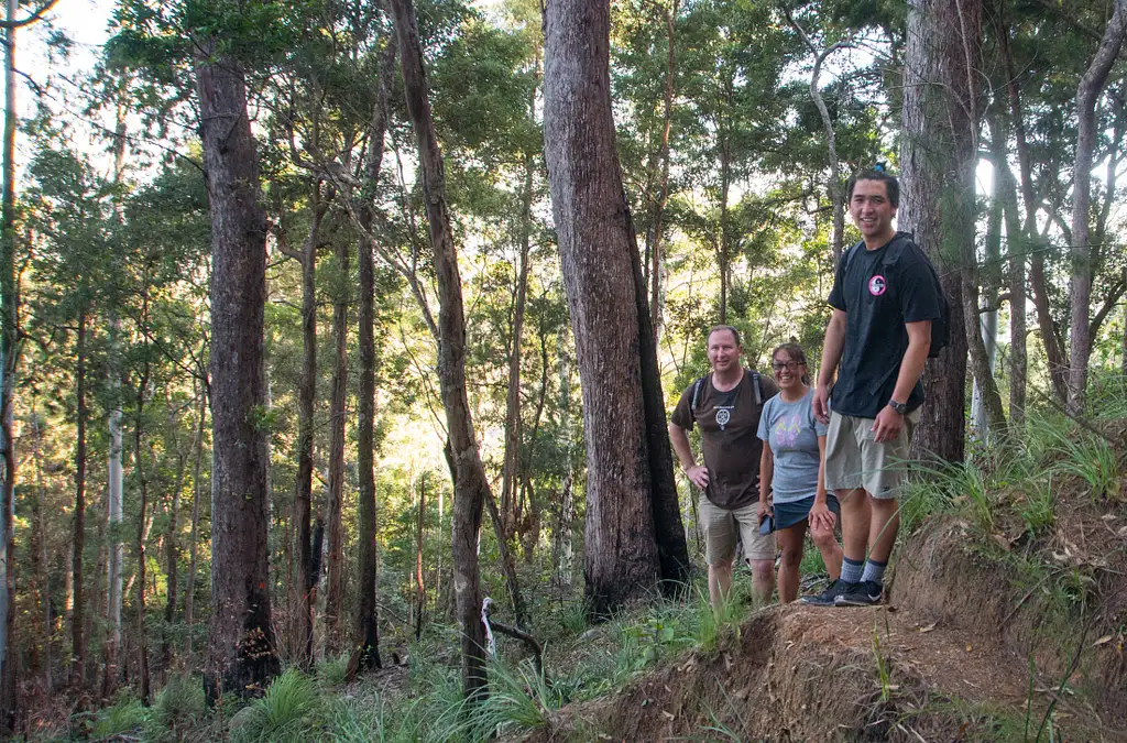Full Day Cairns Hiking Experience