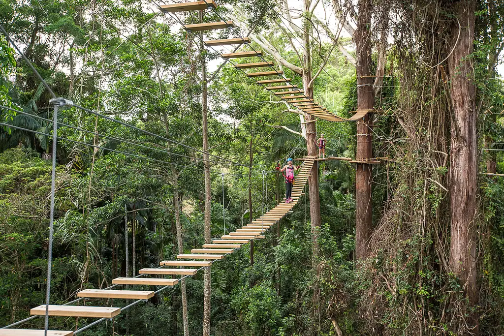 Treetop Challenge Sunshine Coast (Big Pineapple)