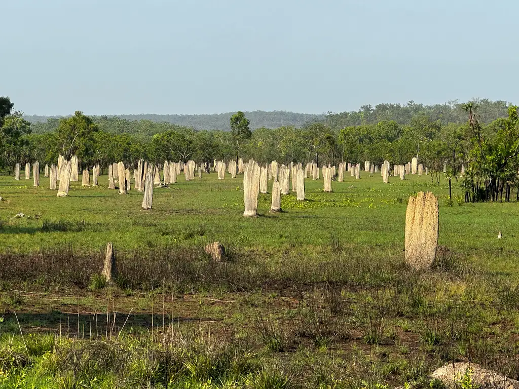 3 Day Kakadu & Litchfield 4WD Camping Tour (April to Sept) | From Darwin