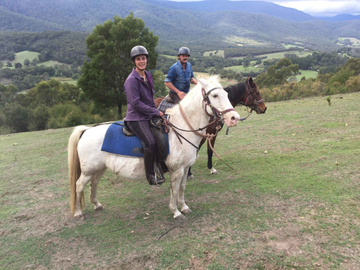 Yarra Valley Wine Tasting & Horse Trail Ride