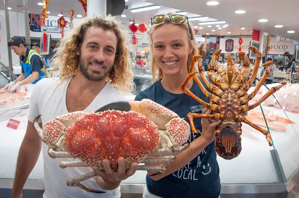 Sydney Fish Market Tour & Harbor Cruise - Half Day