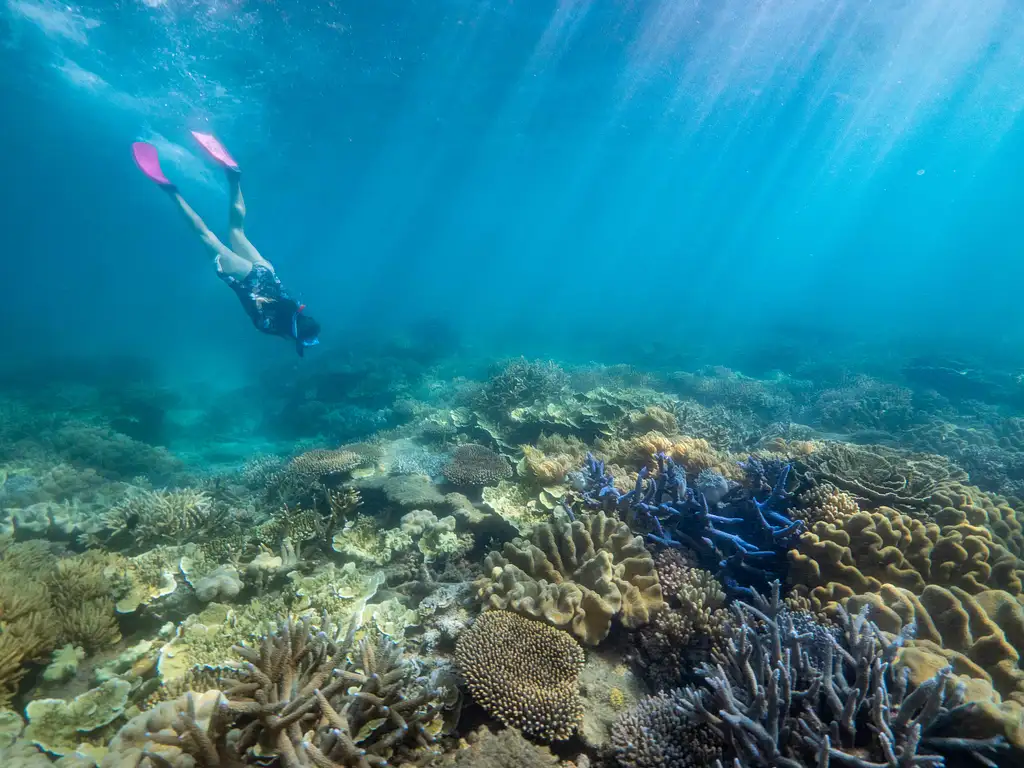 Fitzroy Island Full Day Tour