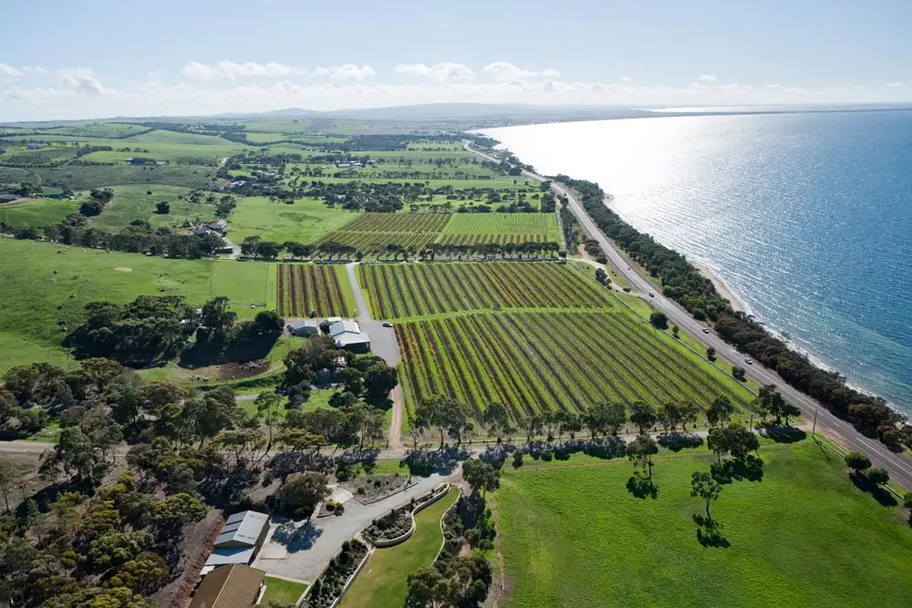 Coffin Bay Oyster Farm Day Tour