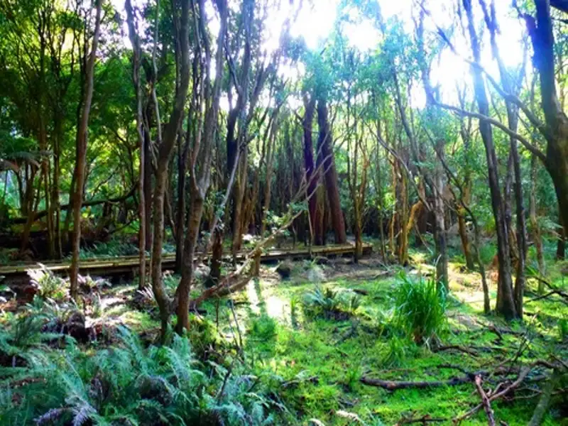 Wilsons Promontory Full Day Tour