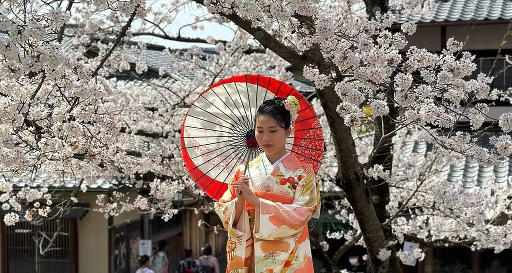 9 Day Japan Essentials: Tokyo to Osaka Tour | One Life Adventures