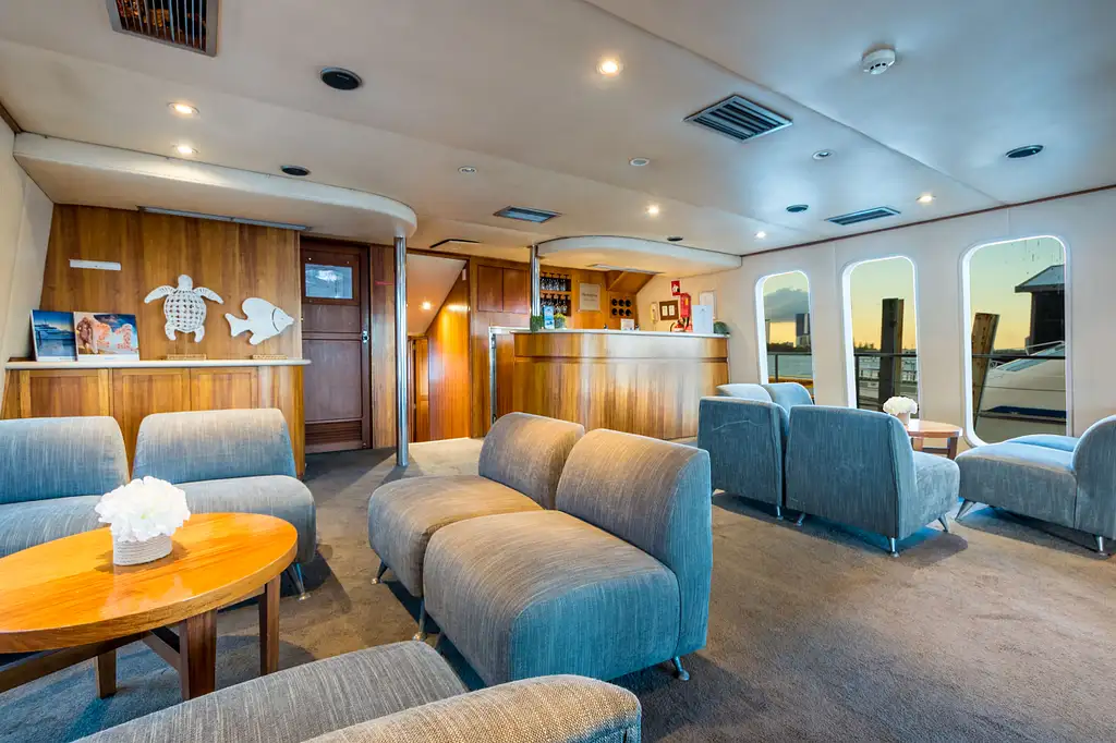 Small Group, Super Yacht Whale Watching Experience