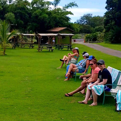 oahu turtle snorkel tour