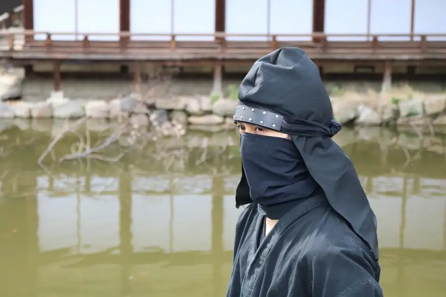 Osaka Half-Day Samurai Bus Tour
