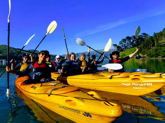 kayaking tours akaroa