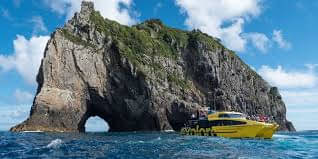 bay of islands tour