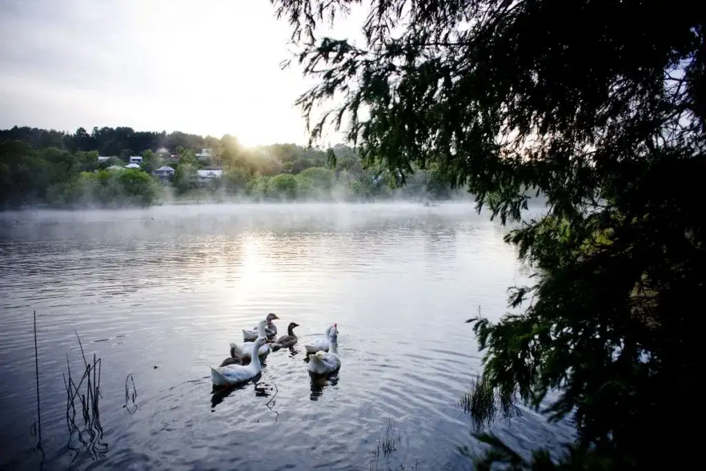 4 Day Daylesford & Goldfields Track Highlights Walking Tour