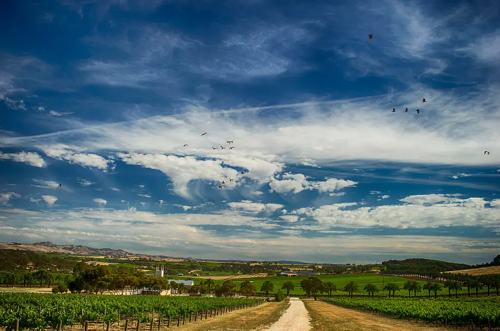 Barossa Valley Voyager
