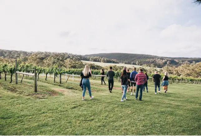 Singlefile Wines Denmark: A Sense of Place