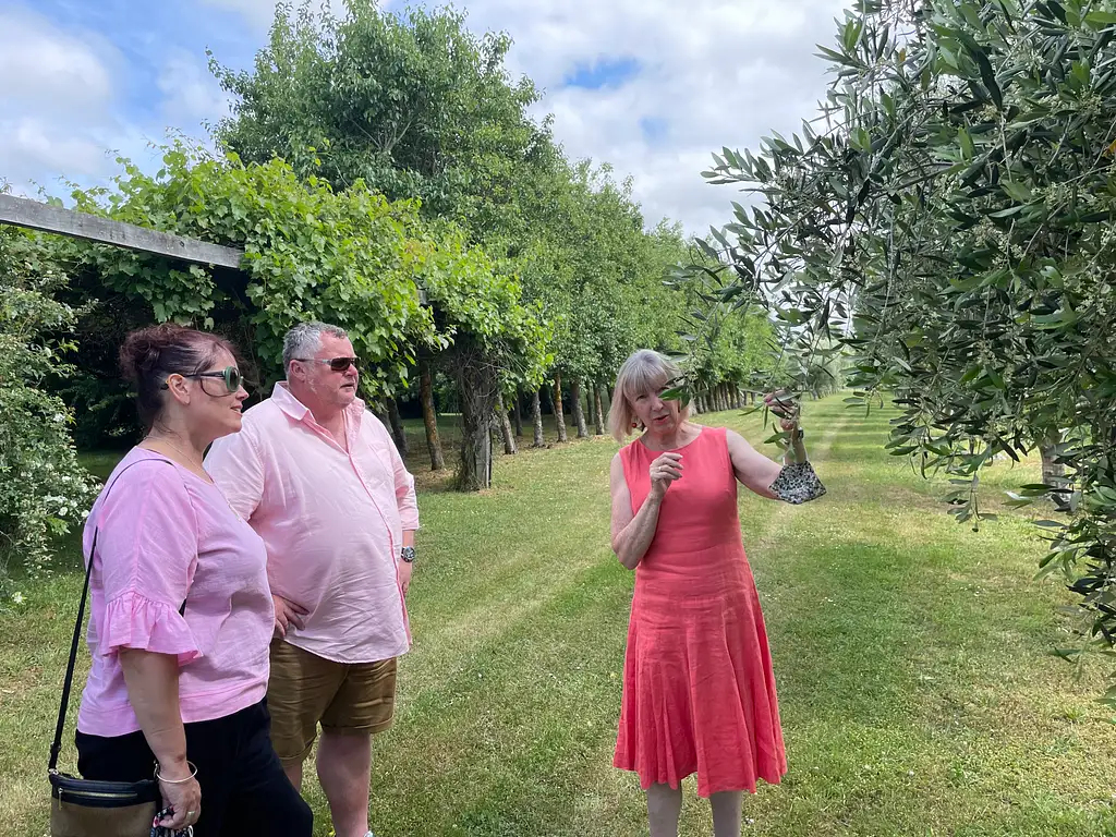 Full Day Martinborough Foodie Tour