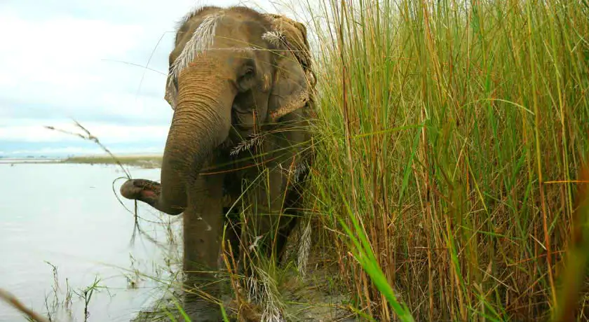 Discover North & South India