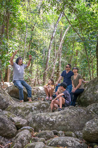 Daintree Walkabout