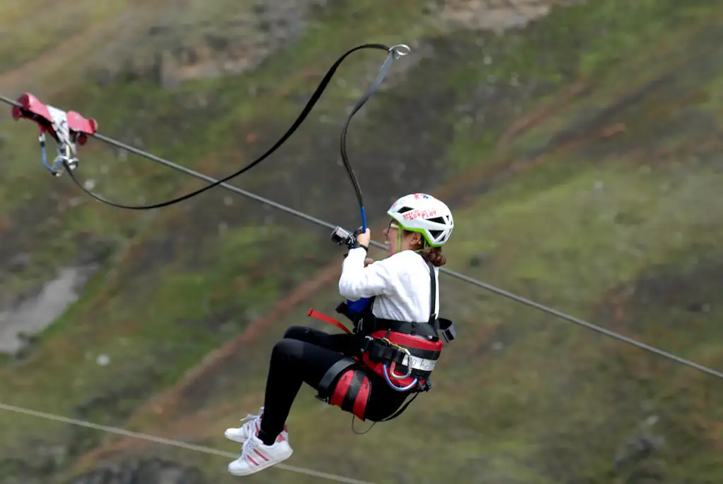 Shotover Canyon Fox