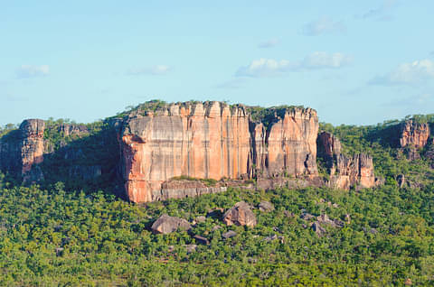 Kakadu in a Day Flight Tour deals