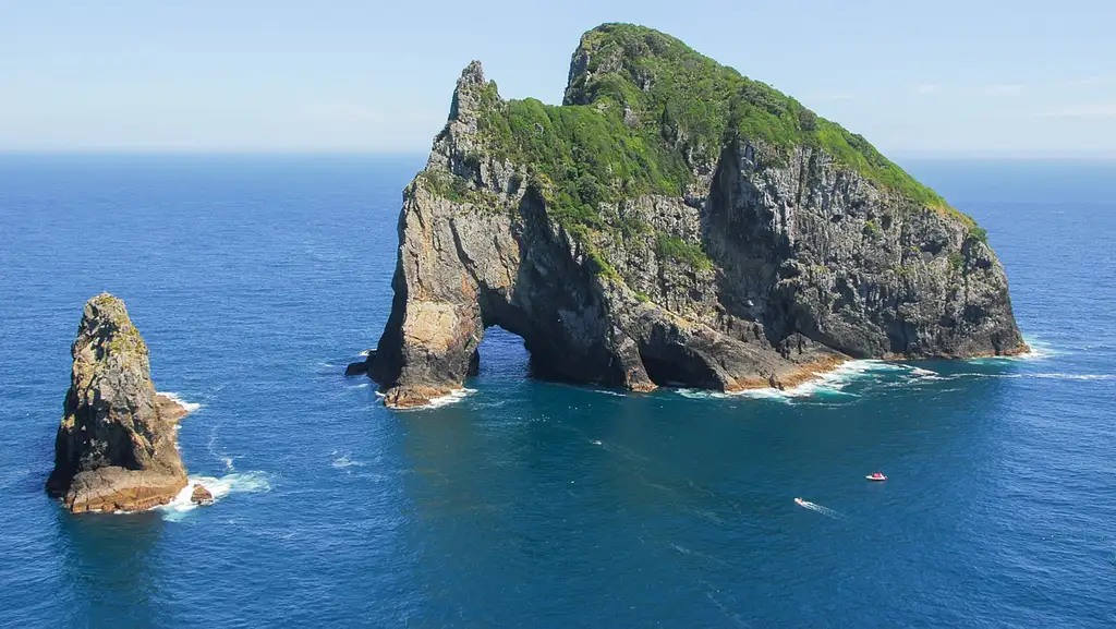 Bay Of Islands Hole in The Rock | Private Tour From Auckland