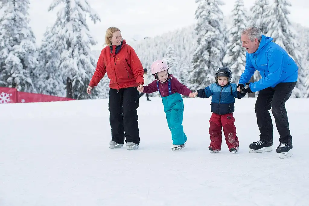 Grouse Mountain Admission Ticket