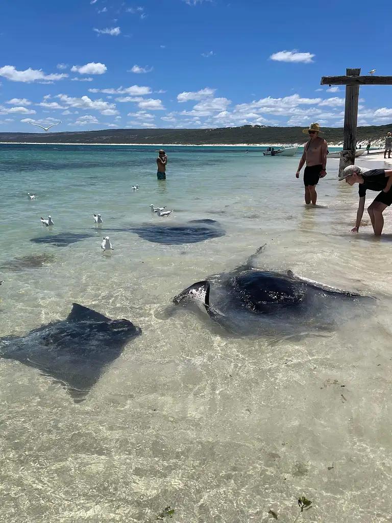 4 Day Perth to Margaret River & Return | All Inclusive Small Group Tour