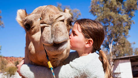 1 Hour Camel Ride Alice Springs