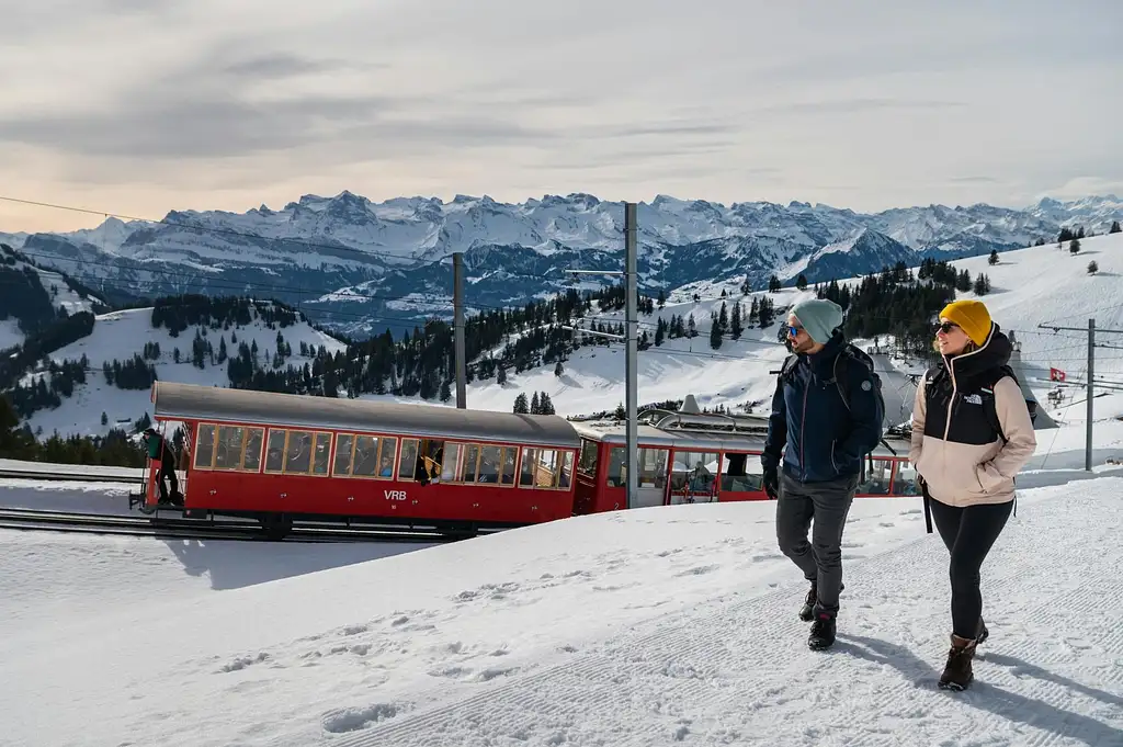 Mount Rigi Cogwheel Train Ticket - Swiss Activities Tageskarte Rigi | Mount Rigi Day Pass