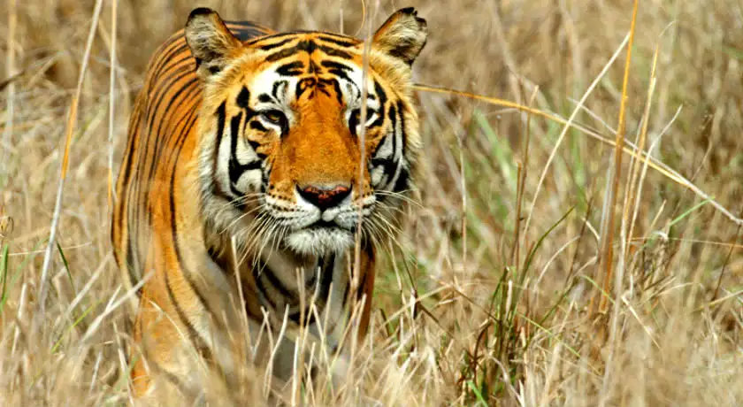 Tour of Rajasthan