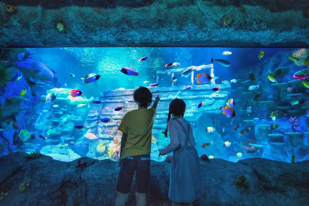 Go City Singapore: All-inclusive Pass
