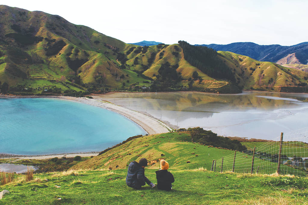 Options to Get Around New Zealand