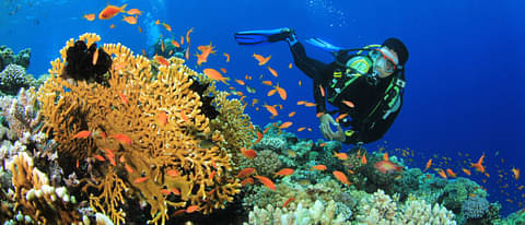 Great Barrier Reef
