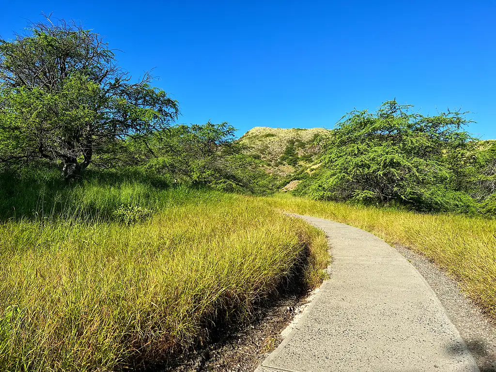 Diamond Head Hiking and Oahu Island Experience feat. North Shore