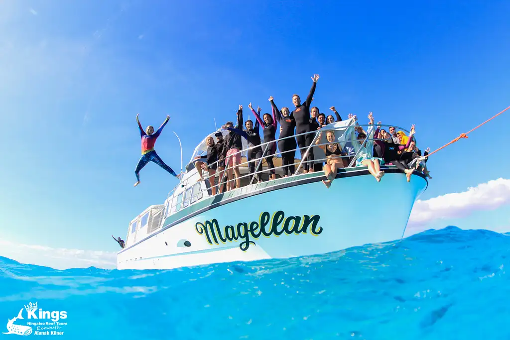 Whale Shark Snorkelling Adventure Tour (Apr-July) | Departing Exmouth