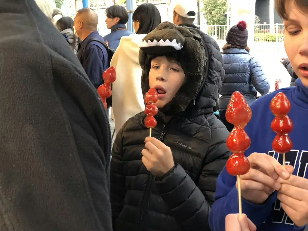 Tsukiji Outer Market Seafood Breakfast Tour