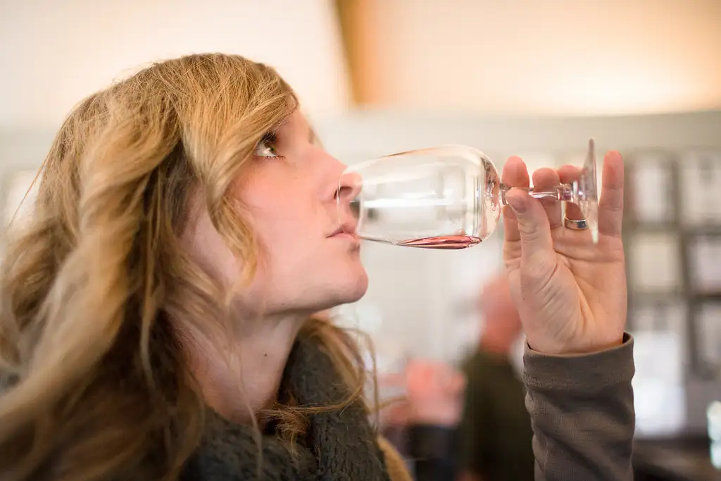 Taste of Wanaka Wine Tour