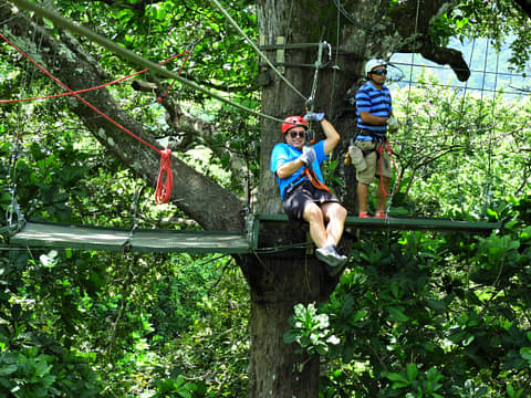 canopy-congo