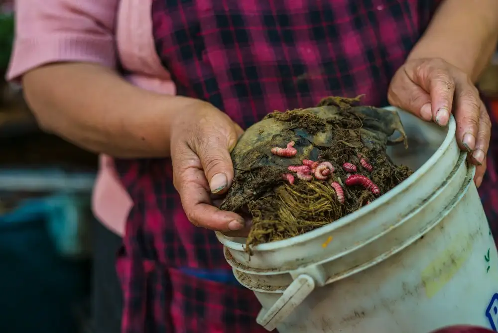 Mexico City Market Tour