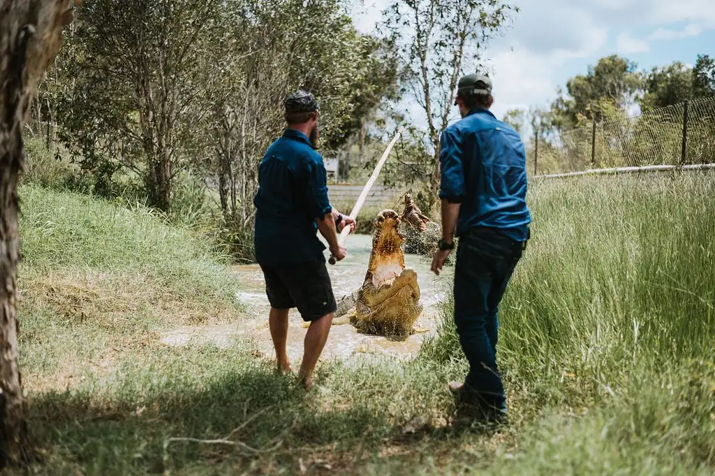 Top End Safari Camp Day Tour - Shoulder Season Special