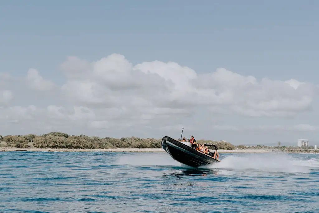 Mooloolaba Turtle Tour | Nov - May