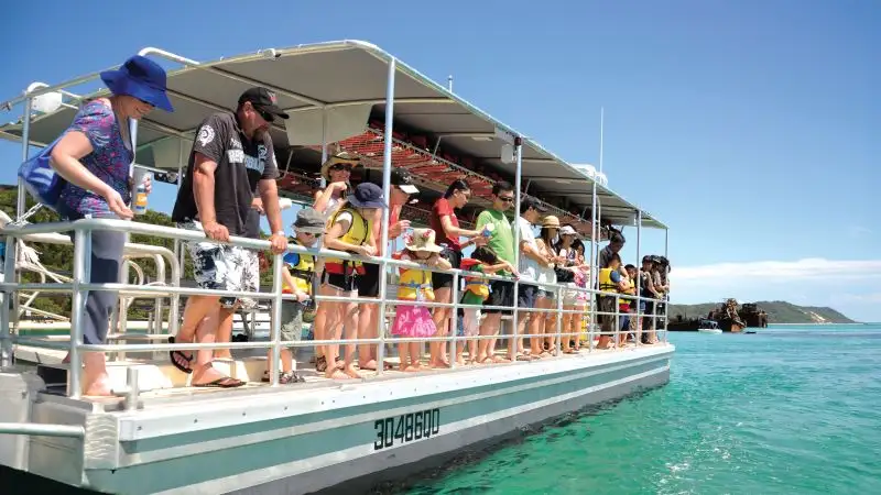 Marine Discovery Day Cruise with option to upgrade to Dolphin Feeding | Moreton Island