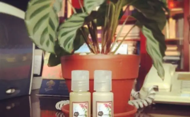 Cosmetics Handmade Workshop