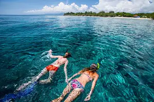 Snorkelling Tour From Gili Trawangan | Private Tour